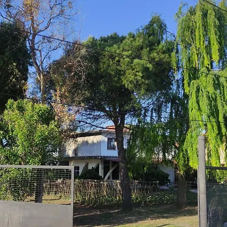 בית נופש Among The Trees And By The Sea