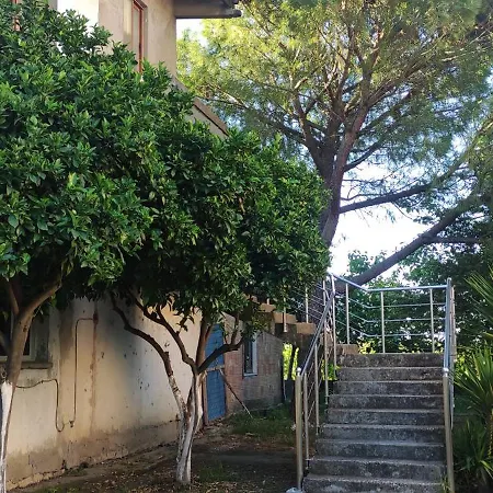 Among The Trees And By The Sea * פייר