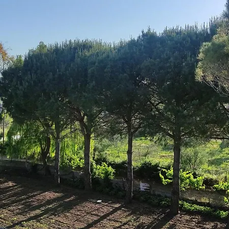 Among The Trees And By The Sea בית נופש